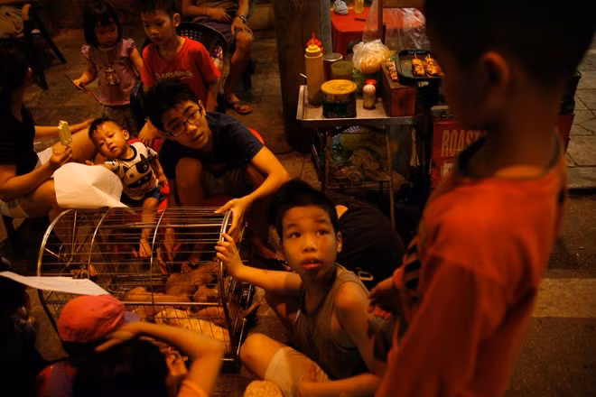 Việc quy hoạch các mặt hàng kinh doanh cũng chưa hợp lý. Trong ảnh là một cũi chó bên cạnh quầy bán thịt nướng. Rất nhiều du khách nước ngoài tỏ ra ngạc nhiên và không đồng tình với việc chó được bày bán ngoài vỉa hè.