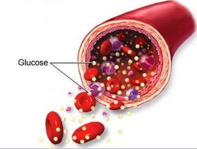 Nồng độ glucose trong máu giảm khiến người đói dễ cáu gắt.