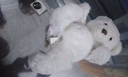 Hoảng hồn, mất ăn mất ngủ với thú bông gắn chíp của Trung Quốc Hoang hon, mat an mat ngu voi thu bong gan chip cua Trung Quoc