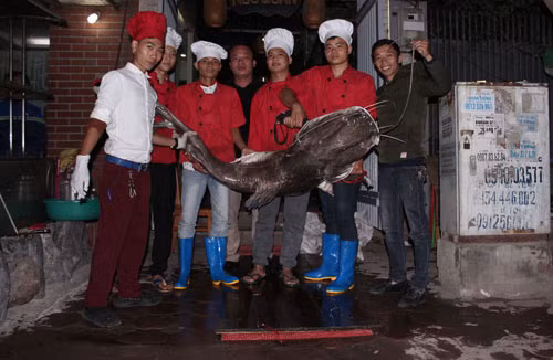 Them mot “thuy quai” song Me Kong xuat hien o Ha Noi