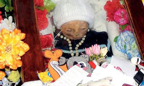 Bi an thi hai tu bat nap quan tai sau 7 nam