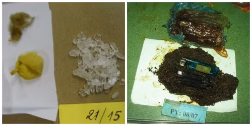 Giai ma nhung cai chet bat dac ky tu cua gioi pham nhan-Hinh-2