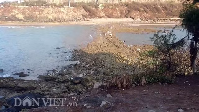 Sau một hồi đi bộ khá vất vả, cuối cùng chúng tôi cũng đến được đảo. Trên đảo Hòn Bà có miếu Hòn Bà để thờ cúng bà Thủy Long thần nữ với mong muốn bà phù hộ cho những người làm nghề đánh cá trên biển. Tương truyền ngôi miếu này được một hương chức thôn hội làng Thắng Tam đã dựng nên vào năm 1781. Qua biến cố của thời gian, miếu Hòn Bà được trùng tu, sửa chữa nhiều lần mới có hình dạng như hiện nay với chiều cao nổi trên mặt đất là 4m; bên trong là điện thờ các vị thần linh; bên dưới có một tầng hầm dài 6m, rộng 3m. Theo lời người dân địa phương thì thời kháng chiến, đồng bào chiến sĩ yêu nước từng bí mật chọn nơi này làm chỗ họp bàn công việc.