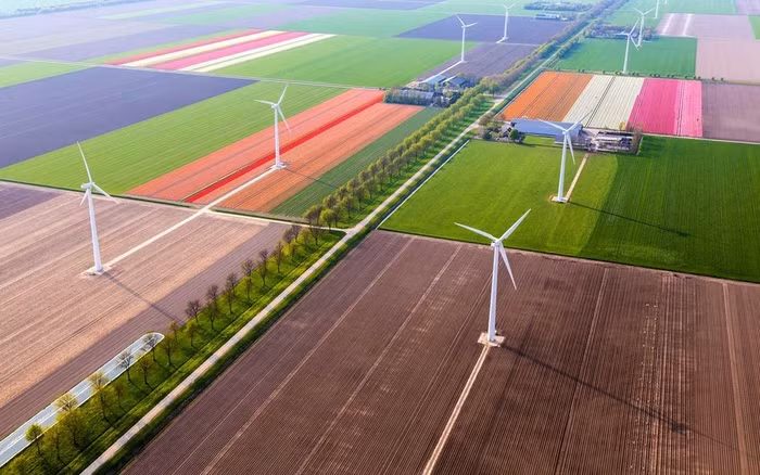 Cánh đồng hoa Tulip (Hà Lan) Cứ mùa xuân đến, hàng loạt hoa tulip đua nhau nở khắp Hà Lan. Tới đây, bạn sẽ không khỏi ngỡ ngàng trước cánh đồng hoa rực rỡ sắc màu. Thời điểm thưởng ngoạn hoa lý tưởng nhất là tháng 3 hay tháng 4 hàng năm.