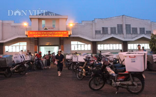 Sau cùng là sự góp mặt của lực lượng thu mua thịt phân phối về chợ lẻ.