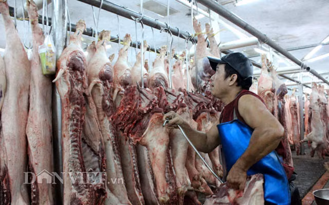 Trong khu nhà lồng, mỗi thương lái sẽ có một “dậu” (sạp hàng). Heo mảnh được nhân công cấp tập treo lên giàn móc.