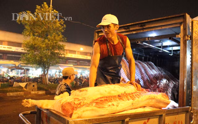 Sau khâu kiểm tra, heo từ xe lạnh chuyển ra xe thùng chuẩn bị tập trung vào khu nhà lồng