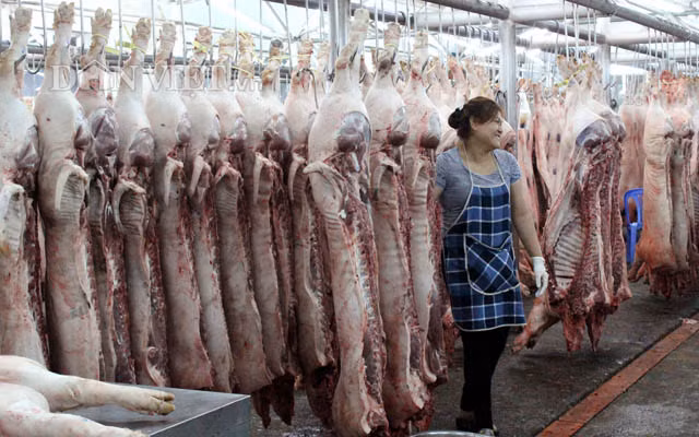 Heo mảnh đã sẵn sàng cho phiên giao dịch đầu ngày.