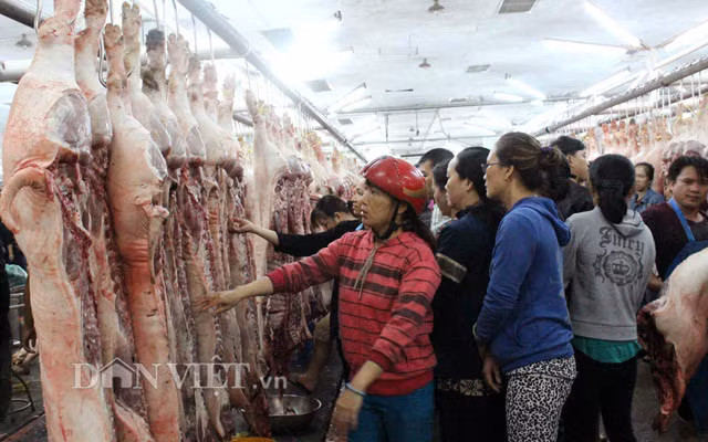 Từ 2 - 3 giờ sáng là lúc hoạt động mua bán diễn ra sôi nổi nhất. Gần như không có nhiều chỗ trống trong các lối đi. Ra khỏi nhà lồng, khó tránh khỏi mùi thịt heo còn vướng trên quần áo.