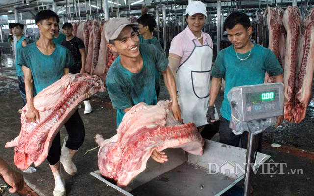 Sức sống của khu chợ được biểu hiện rõ nhất ở vẻ cơ bắp, sự năng động của lực lượng làm công. Họ tham gia từ khâu vận chuyển, xẻ thịt, pha lóc đến cả góp vui khi phiên chợ... ế.