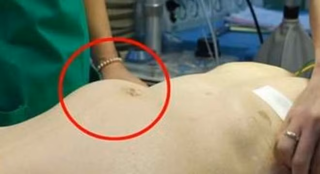 Động mạch chủ là động mạch lớn nhất trong cơ thể người.