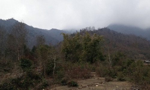 Ky bi ngoi mo vua Mong o Mu Cang Chai