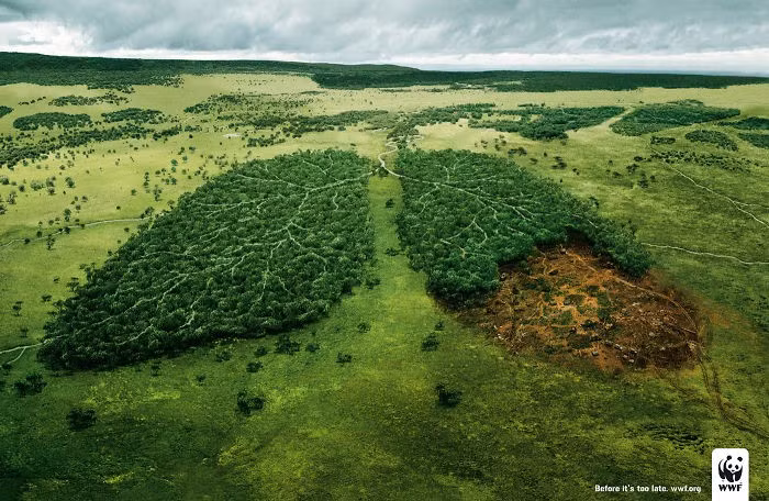 Với quảng cáo xanh này, Quỹ quốc tế Bảo vệ thiên nhiên (WFF) đưa ra lời thúc giục rằng "lá phổi" xanh của trái đất đang bị hủy hoại, hãy hành động trước khi quá muộn.