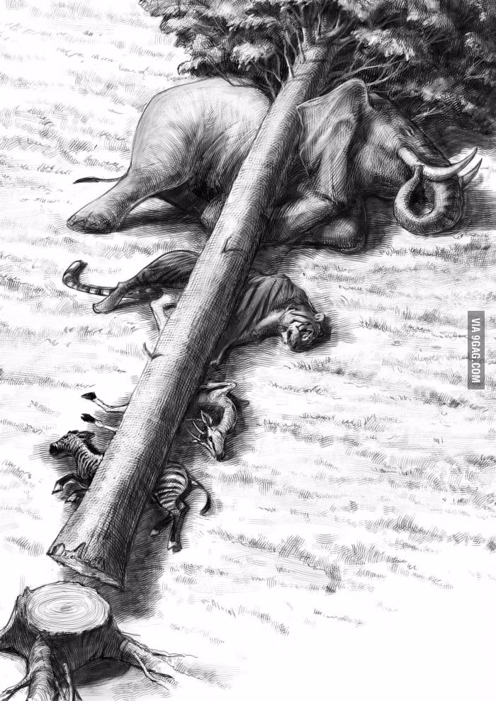 Từ con vật nhỏ đến lớn, chúng đều đang bị giết chết đần bởi nạn phá rừng.