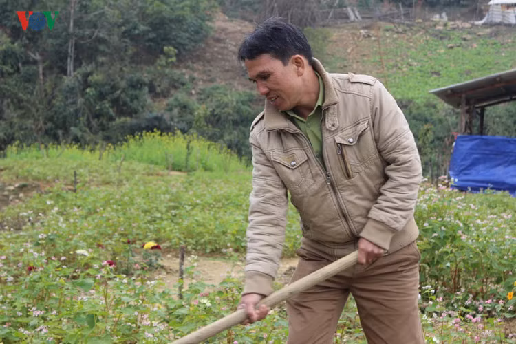 Ông Thiệp cho biết, vườn hoa này ông đã đầu tư gần 500 triệu đồng và hướng tới tháng nào vườn cũng nở rộ hoa.