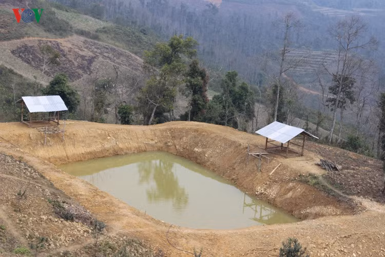 Đào ao, thả cá phục vụ khách du lịch muốn ở lại qua ngày.