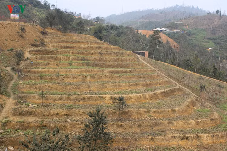 Ông Thiệp sẽ mời nhà thiết kế chuyên nghiệp để trồng các loại hoa thích hợp trên khu bậc thang này và hy vọng sẽ thu hút ngày càng nhiều du khách tới tham quan, du lịch tại đây.