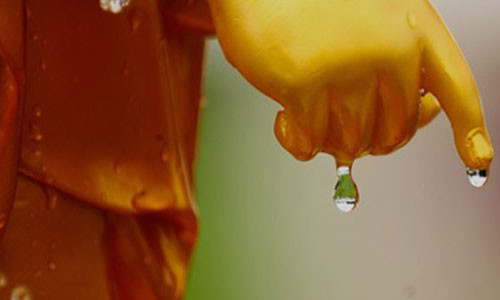 Duc Phat noi: “Doi nguoi la be kho”, vay lam gi de het kho?