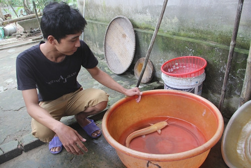 Bi hai chuyen khon kho vi san duoc ca quy tien ty-Hinh-2