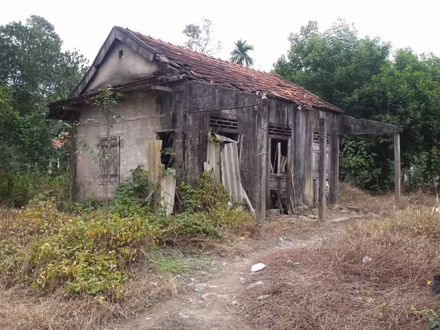 Khat khao chay bong cua cau be co me la “nguoi rung”-Hinh-2