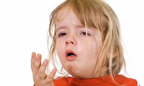 Meo chua hoc xuong ca 