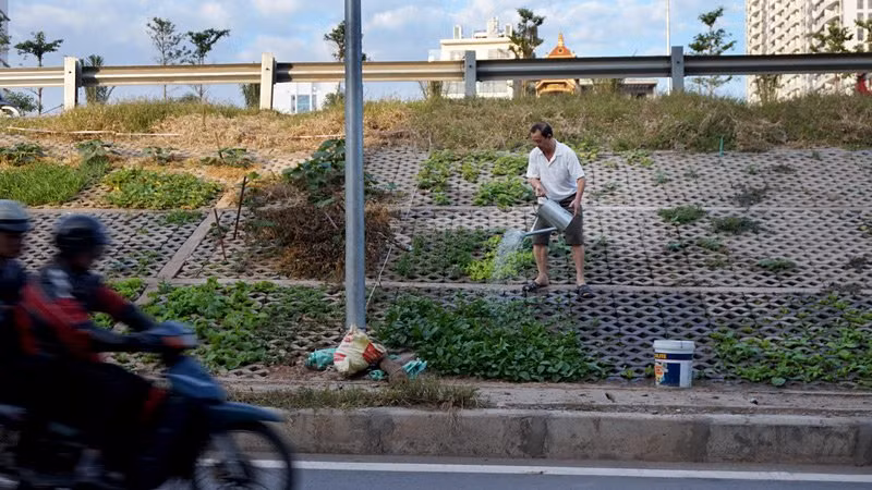 Người dân cho biết, nước dùng để tưới rau hoàn toàn là nước máy nên đảm bảo rau rất sạch.