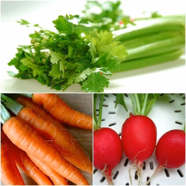 Ngoài khoai tây, cà rốt, cần tây, củ cải đường cũng gây hại cho sức khỏe khi quay trong lò vi sóng. Ở nhiệt độ cao chúng chứa một lượng lớn nitrat và chuyển hóa thành nitrit gây ung thư cao.