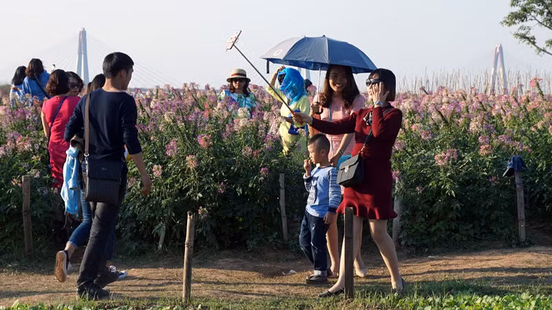 Dịp nắng đẹp đầu đông làm lượng người đổ về các vườn hoa ven sông Hồng tăng đột biến.