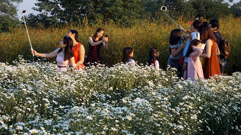 Mỗi người một góc, ảnh nào cũng đẹp.