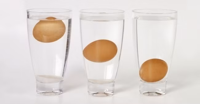 Bỏ quả trứng vào nước, bạn sẽ biết chúng còn ăn được hay không. Nếu trứng nổi lên trên mặt nước, tốt nhất bạn nên vứt nó đi. Trứng gà mới đẻ ra, vì không khí bên trong rất ít, tỷ trọng của nó lớn hơn nước, nên nó sẽ chìm. Còn trứng ung vì đã để thời gian dài. Một mặt lòng trắng của nó đã thối, sinh ra rất nhiều thể khí; mặt khác, một phần nước ở trong quả trứng bay hơi qua những lỗ nhỏ ở vỏ. Thể khí bốc hơi, trọng lượng quả trứng nhẹ đi, tỷ trọng nhỏ đi, tất nhiên nó phải nổi trên mặt nước.