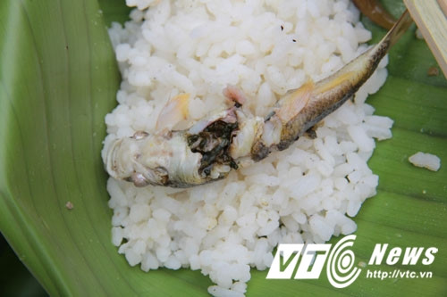 Không có gì tuyệt vời hơn khi thưởng thức món cá đắng giữa rừng già.