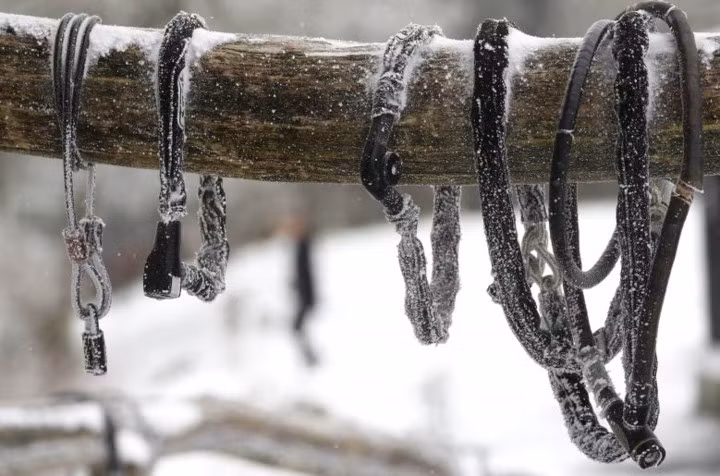 Những chiếc khóa xe đạp bị tuyết bao phủ bên ngoài một nhà hàng trên đỉnh núi Feldberg.