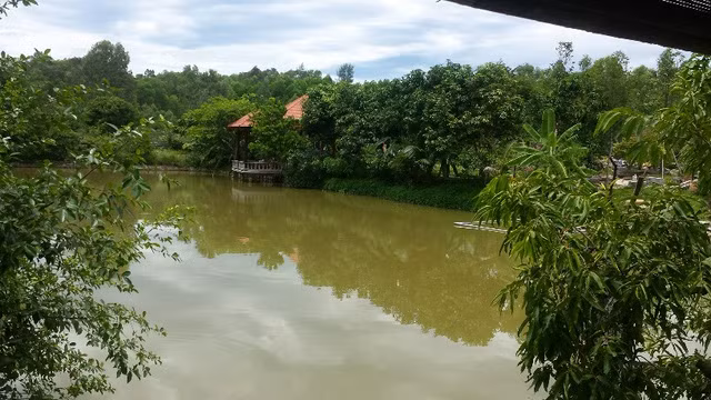 Trong khu biệt phủ còn có nhiều cây cảnh quý như sưa, lộc vừng, mộc, tùng… xung quanh vườn. Đặc biệt có một số cây sứ lớn có dấu vết mới trồng chưa lâu và còn có các thanh gỗ chống đỡ. Một số công nhân được biết chủ nhân của khu “biệt phủ” này là một người tên Sơn. Khoảng 3-4 ngày người này lại về thăm khu vườn một lần để trông nom chỉ đạo công việc.