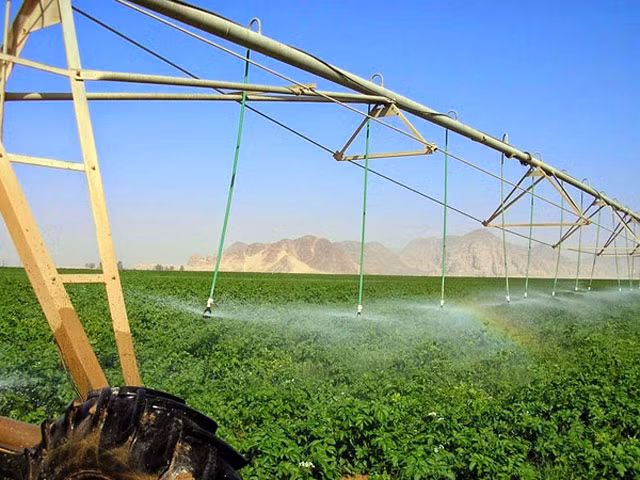 Kỹ thuật canh tác truyền thống đơn giản là dựa vào sức lao động, máy móc cơ giới, hệ thống tưới tiêu hiệu quả… Thế nhưng, với những điều kiện khắc nghiệt ở sa mạc, một nông trang cần thêm yếu tố khác để có thể tồn tại và thành công.