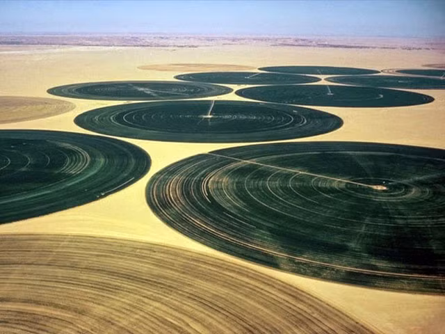 Các ống nhựa được sử dụng để thu nước và trữ nước phòng khi thời tiết ở sa mạc bước vào giai đoạn đặc biệt khô hạn.