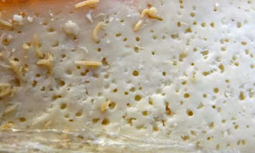 “Dung toc gay” dac san pho mat gioi ngo nguay trong mieng