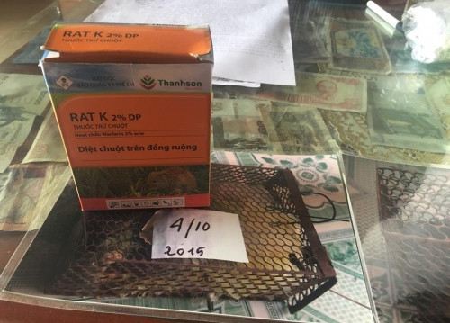 Loại thuốc mà chuột bị ép ăn cả tháng trời cũng không chết. Ảnh: Cẩm Anh.