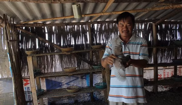 Ky la tro thanh trieu phu nho cho chim nghe nhac sen