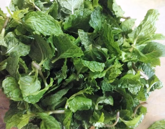 Rau húng lũi không thể thiếu cho món tiết canh sò huyết.