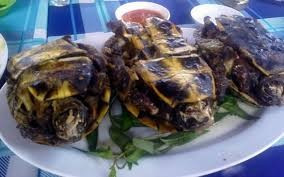 Rùa có thể làm được rất nhiều món ăn ngon và bổ, nhưng ngon nhất vẫn là món rùa rang muối, vừa dễ làm, dễ tìm gia vị, vừa được thưởng thức cách ăn dân dã đặc biệt của người xứ Cà Mau.