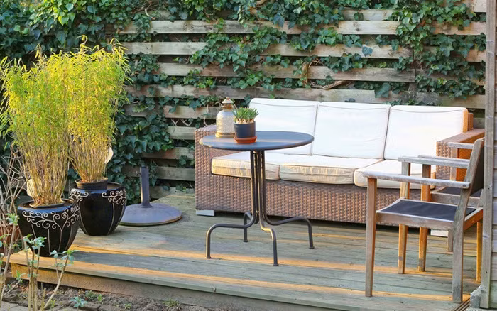 Trồng tre trong chậu Tre hay trúc đều là loại cây phát triển với tốc độ chóng mặt. Tuy nhiên nếu khoảng sân vườn nhà bạn không đủ rộng, bạn có thể xem xét việc trồng tre trong chậu cảnh để kiểm soát sự phát triển mạnh mẽ và nhanh chóng của cây.