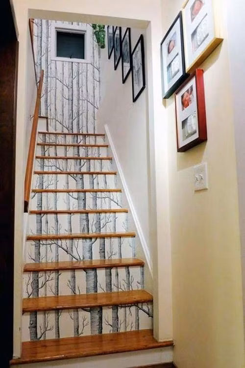 Giấy dán tường không chỉ để trang trí các bức tường phòng.