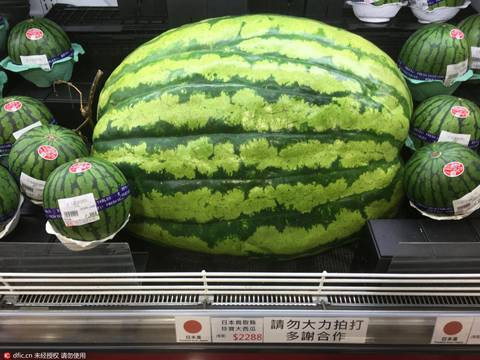 Hồi năm 2009, tại một hội chợ ở Trung Quốc, nông dân nước này cũng đã giới thiệu quả dưa nặng tới gần 60kg. Chủ nhân của quả dưa là ông Zeng Fansheng. Ông cho biết, quả dưa có khối lượng lớn là nhờ kỹ thuật trồng trọt còn bí quyết thực sự vẫn chưa được tiết lộ.