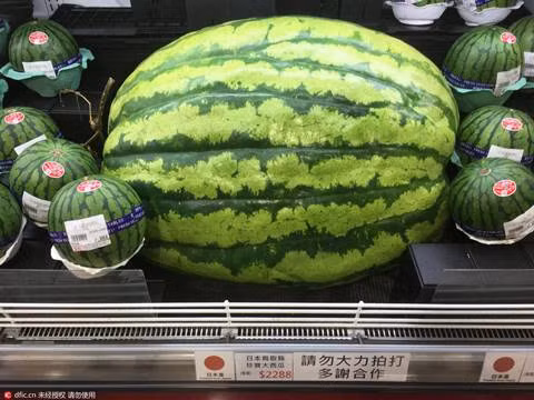 Hồi năm 2009, tại một hội chợ ở Trung Quốc, nông dân nước này cũng đã giới thiệu quả dưa nặng tới gần 60kg. Chủ nhân của quả dưa là ông Zeng Fansheng. Ông cho biết, quả dưa có khối lượng lớn là nhờ kỹ thuật trồng trọt còn bí quyết thực sự vẫn chưa được tiết lộ.