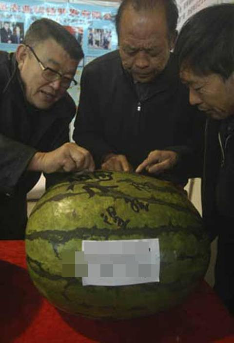 Được biết, quả dưa khủng này ước tính khoảng 40kg, có giá bán 2.288 Đô la Hồng Kông (khoảng gần 7 triệu đồng).