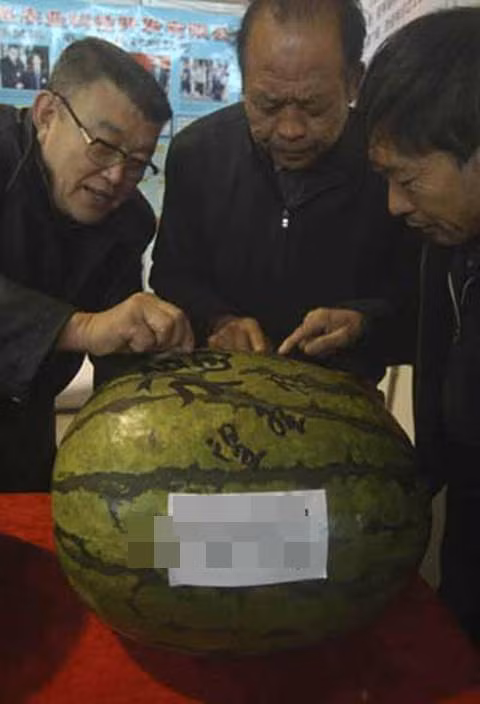 Được biết, quả dưa khủng này ước tính khoảng 40kg, có giá bán 2.288 Đô la Hồng Kông (khoảng gần 7 triệu đồng).