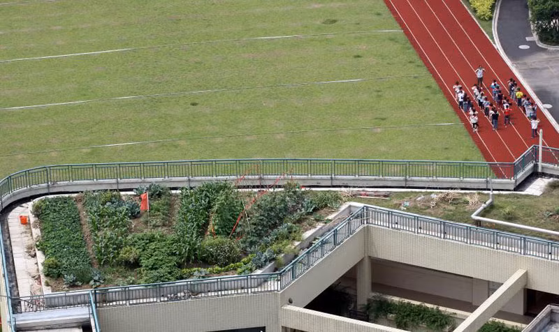 Trang trại rau hữu cơ này đã đưa con người tới gần với thiên nhiên hơn. Đồng thời, nó cũng mang lại cho học sinh trong trường và người dân xung quanh nguồn thực phẩm sạch dồi dào và phong phú.