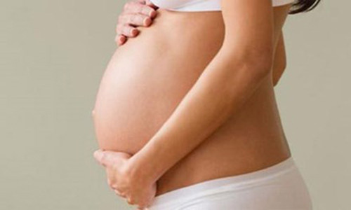 Soi be chim cua thi truong cho thue bung