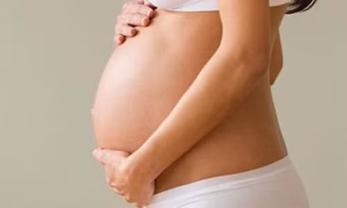 Soi be chim cua thi truong cho thue bung