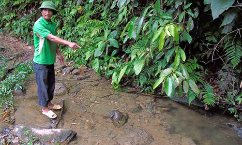 Co nguoi da nhin thay nghi can vu tham sat o Lao Cai